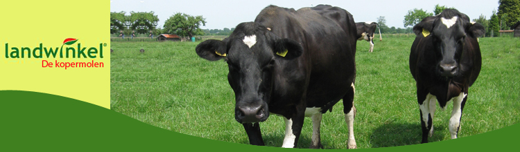 Landwinkel de Kopermolen