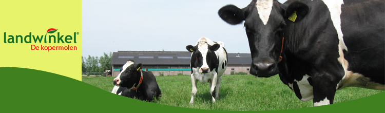 Landwinkel de Kopermolen